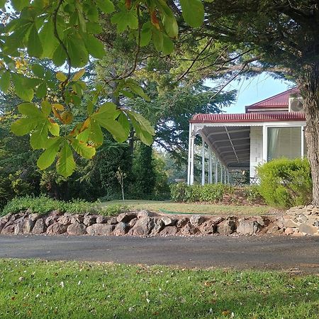 Moore Park Inn Armidale Exterior foto