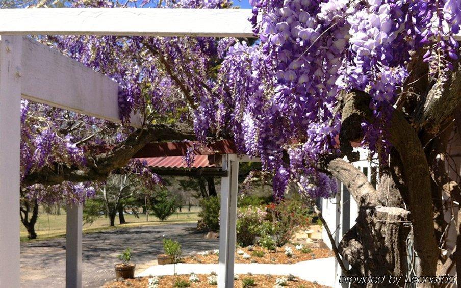 Moore Park Inn Armidale Exterior foto